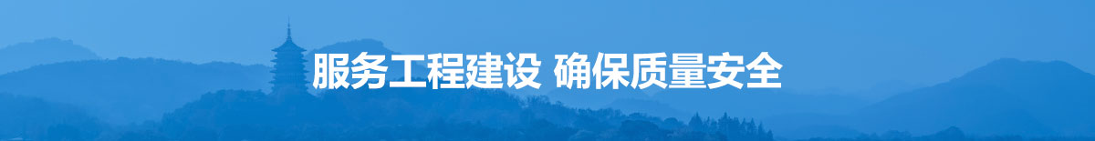 描述